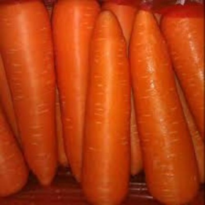 Quentova Orange Carrot (Gajar)-22L-NST Seed(300 per packet)