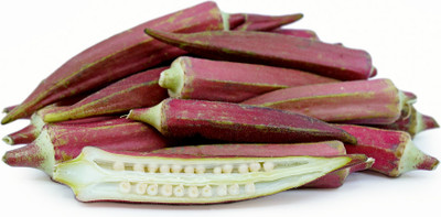 XOLDA Okra Red Seed(48 per packet)