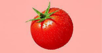 XOLDAA hybrid f1 quality tomato seeds Seed(35 per packet)