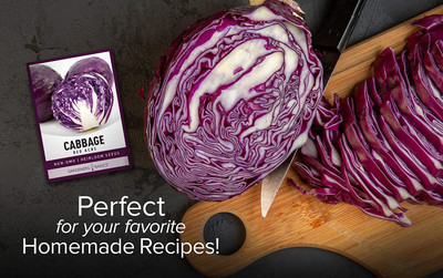 VibeX ® VXI-901 Cabbage Seeds Red Acre Heirloom Seed(200 per packet)