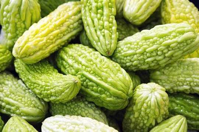 XOLDAA F1 BEST QUALITY BITTER GOURD SEEDS Seed(15 per packet)