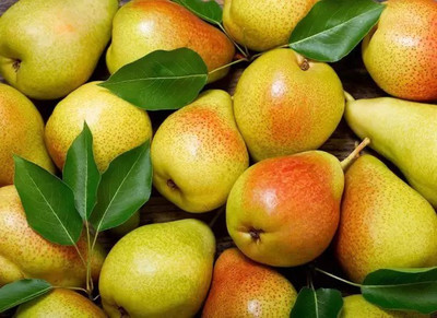 Aro Pear Seed(46 per packet)