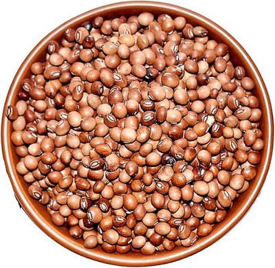 SHYAM 100g hybrid arhar/tur/red gram seeds highest yield variety early fruiting Seed(100 g)
