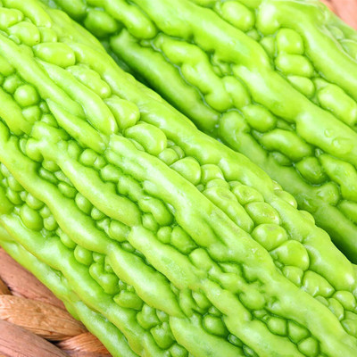 KNESSiN Bitter Gourd Seed(50 per packet)