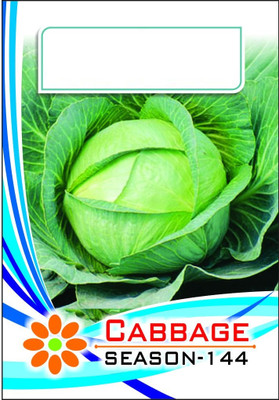 KNESSiN F1 Hybird Imported Cabbage-{800 Seeds} Seed(800 per packet)