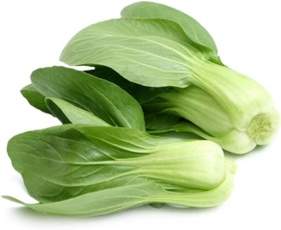 KNESSiN Bok Choy Chinese Cabbage Seed(1250 per packet)