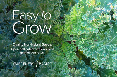 WILLVINE VNR -VII Dwarf Siberian Improved Kale [10g] Seed(3000 per packet)