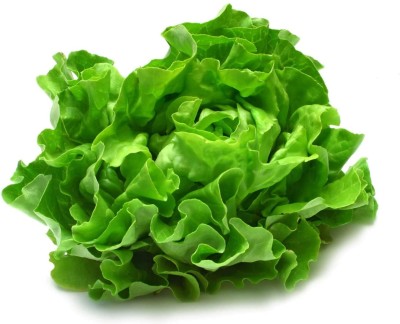 Lorvox Lettuce Seed(450 per packet)