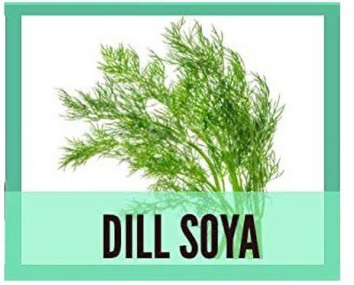 CYBEXIS Dill Soya2800 Seeds Seed(2800 per packet)