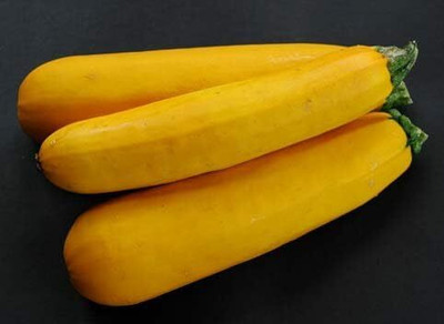 KNESSiN Organic Zucchini Golden Vegetable Seeds for Home Gardening - (40 Seeds) Seed(40 per packet)