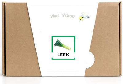 CYBEXIS Leek2000 Seeds Seed(2000 per packet)