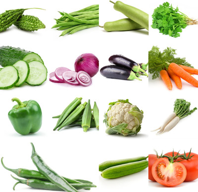 DEYS AGRO ™ winter vegetable seeds 15 type hybrid combo Seed(280 per packet)
