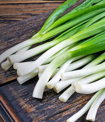 Biosnyg Green Onion Tokyo Long White Bunching-[1000 Seeds] Seed(1000 per packet)