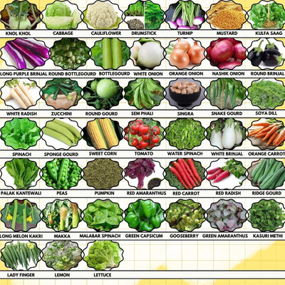 Greenery Hub 45 Vegetable Seed Collection for Home Gardens Seed(45 per packet)