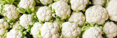 Qualtivate HYB-6A Brassica oleracea Cauliflower Snowball Seeds Seed(300 per packet)