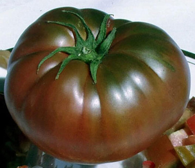 KNESSiN Heat Tolerant Black Russian Tomato Seeds for Terrace Gardening - (4000 Seeds) Seed(4000 per packet)