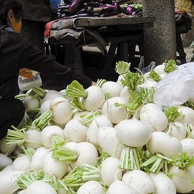 CYBEXIS White Cherry Radish Seeds 1200 Seeds Seed(1200 per packet)
