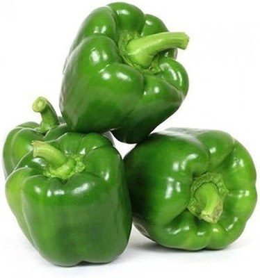 BDSresolve capsicum seeds for home garden/capsicum seeds 20 Seed(20 per packet)