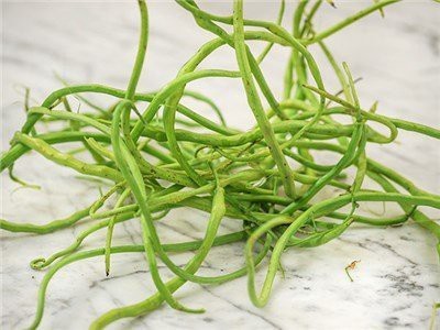 KANAYA Fresh Green Beans Singra Seed(650 per packet)