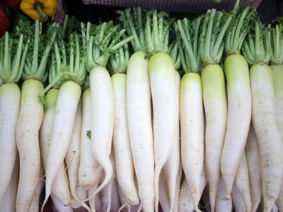 VINTI Japanese Minowase Daikon Radish Seed Seed(2000 per packet)