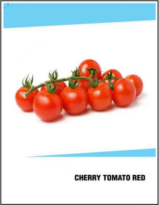 VibeX Hybrid Red Cherry Tomato Seeds(2500 Seeds) Seed(2500 per packet)