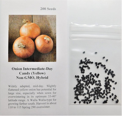 Qualtivate HUA-5A Onion Intermediate (Yellow) Seed(500 per packet)