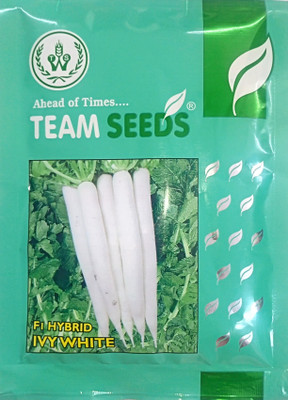 KRASHAK White Radish Mooli Seed(1 per packet)