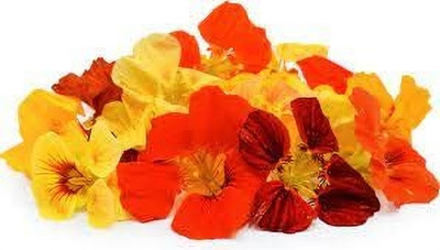 Aywal Nasturtium Double Mix Flower Seed(19 per packet)