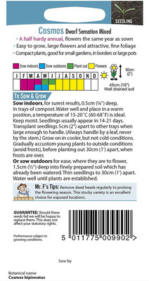 CYBEXIS Flowers - Cosmos Double Click Snow Puff Seed(50 per packet)