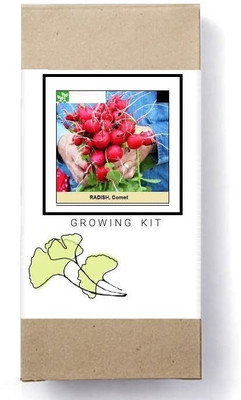 Biosnyg Comet Radish Seed(250 per packet)