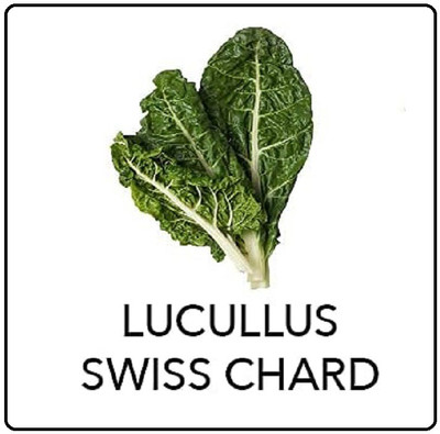 VibeX ® VXI-334 Swiss Chard Seed(200 per packet)