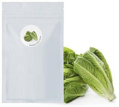 CYBEXIS Cos Lettuce4000 Seeds Seed(4000 per packet)