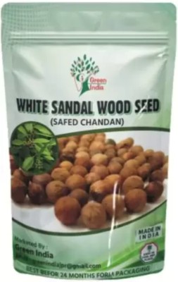 Ravel Sreegandha, white sandalwood chandan, Santalum album Seed(80 per packet)