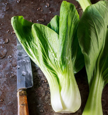 CYBEXIS Hybrid Chinese Cabbage Pak Choi Seeds -100 Seeds Seed(100 per packet)