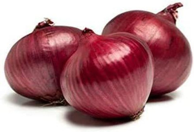 WILLVINE PAU-662 Red Grano Onion Seeds Non GMO-3000 Seeds Seed(3000 per packet)