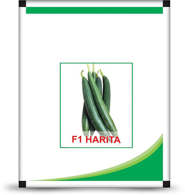 CYBEXIS PUAS-94 - Sponge Gourd Tori Torai Hybrid - (300 Seeds) Seed(300 per packet)