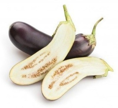 UGRA Brinjal Seed(500 per packet)