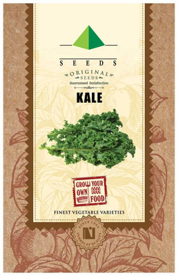 CYBEXIS Kale Seeds 500 Seeds Seed(500 per packet)