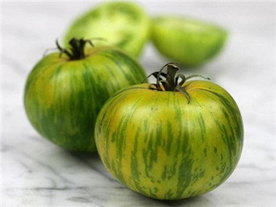 KNESSiN F1 Hybrid Tomato Green Zebra Seeds for Home Gardening - (1000 Seeds) Seed(1000 per packet)