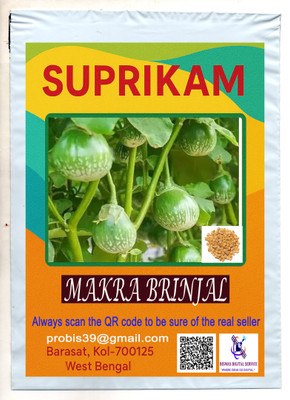 SUPRIKAM BIG SIZE GOL MAKRA BRINJAL/BEGUN/BENGAN GROW IN YOUR GARDEN Seed(25 per packet)