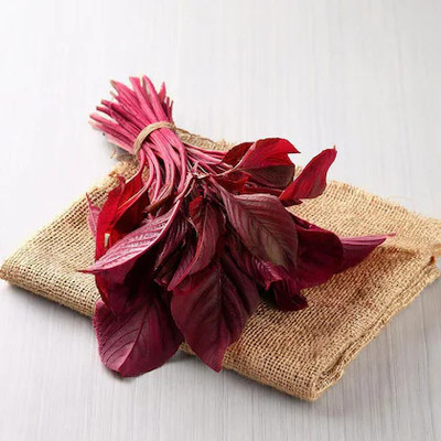 DEYS AGRO ™ lal sag|red amaranthus|red spinach seeds,high yield Seed(450 per packet)