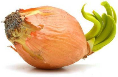 Aro Onion Red, Onion Seed(290 per packet)
