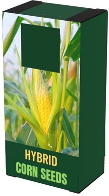 VibeX ® VLR-989 F1 Hybrid Sweet Corn Seeds Seed(500 per packet)