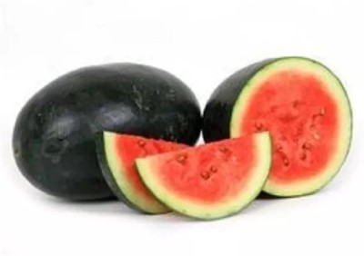 EMKOT High quality sweet watermelon/तरबूज के बीज Seed(30 per packet)