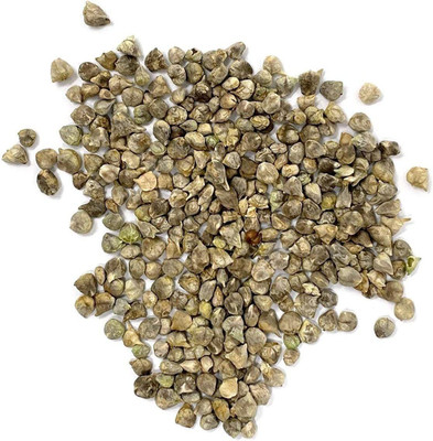 CYBEXIS TLX-75 - Spinach(Bloomsdale Long Standing) - (750 Seeds) Seed(750 per packet)