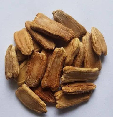 Pbevergreen lauki seed Seed(53 per packet)