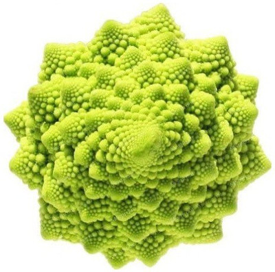 CYBEXIS KGF -71 - Romanesco (Mandir -Temple Type) - (150 Seeds) Seed(150 per packet)