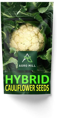 WILLVINE NKR -I Hybrid Variety C-6069 Cauliflower [1g, 300 Seeds] Seed(300 per packet)