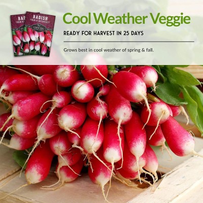 VibeX GBPUT-78 - French Breakfast Radish - (750 Seeds) Seed(750 per packet)