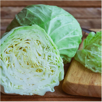 WILLVINE HUA -XI All Seasons Cabbage Seeds [2.5g] Seed(750 per packet)
